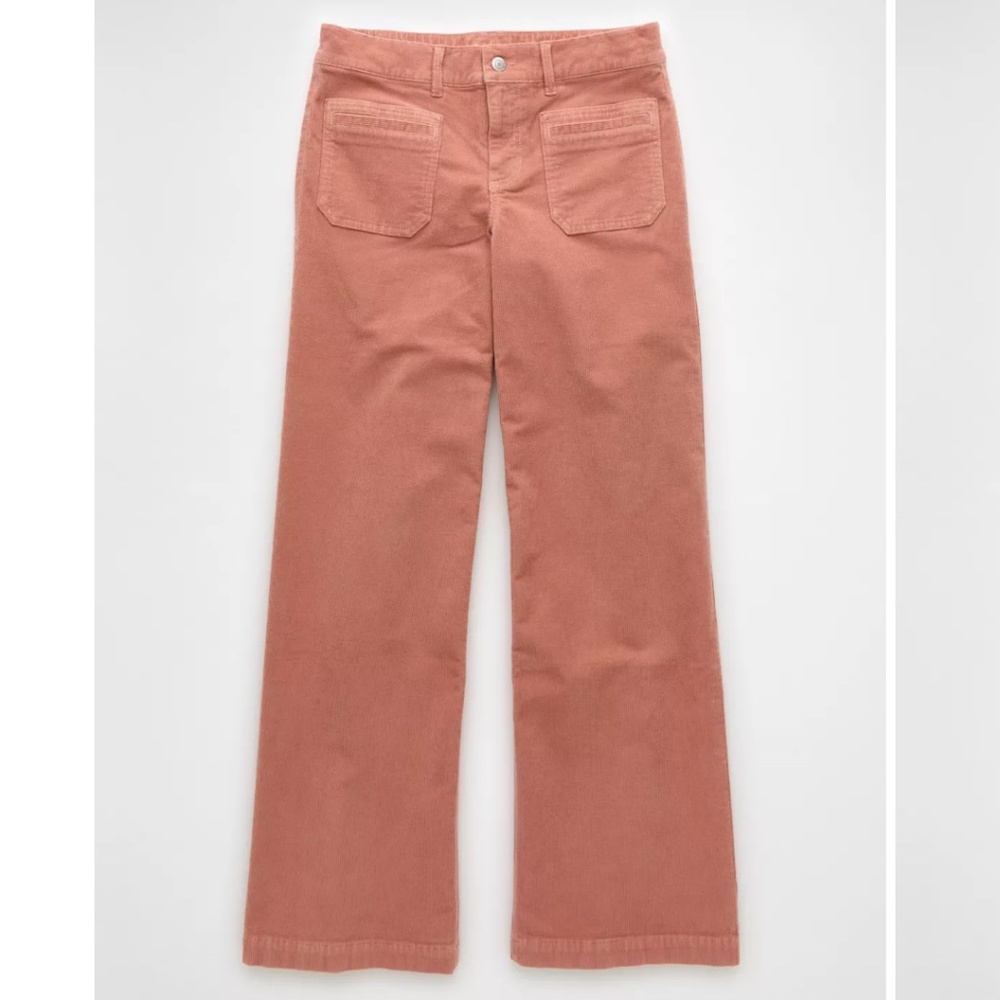 AE Stretch Corduroy Low-Rise Baggy Wide Leg Pants
